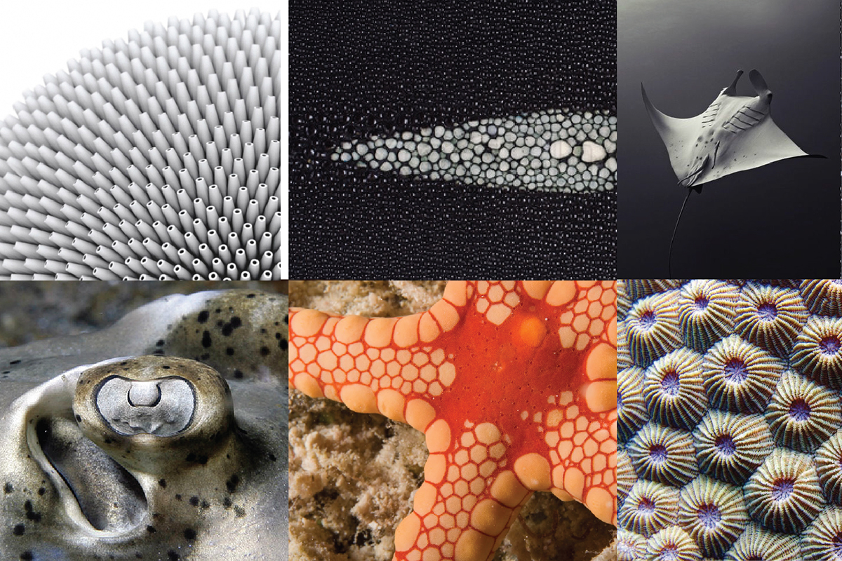 mobile phone，intelligence，Mobile phone shell，black，texture of material，