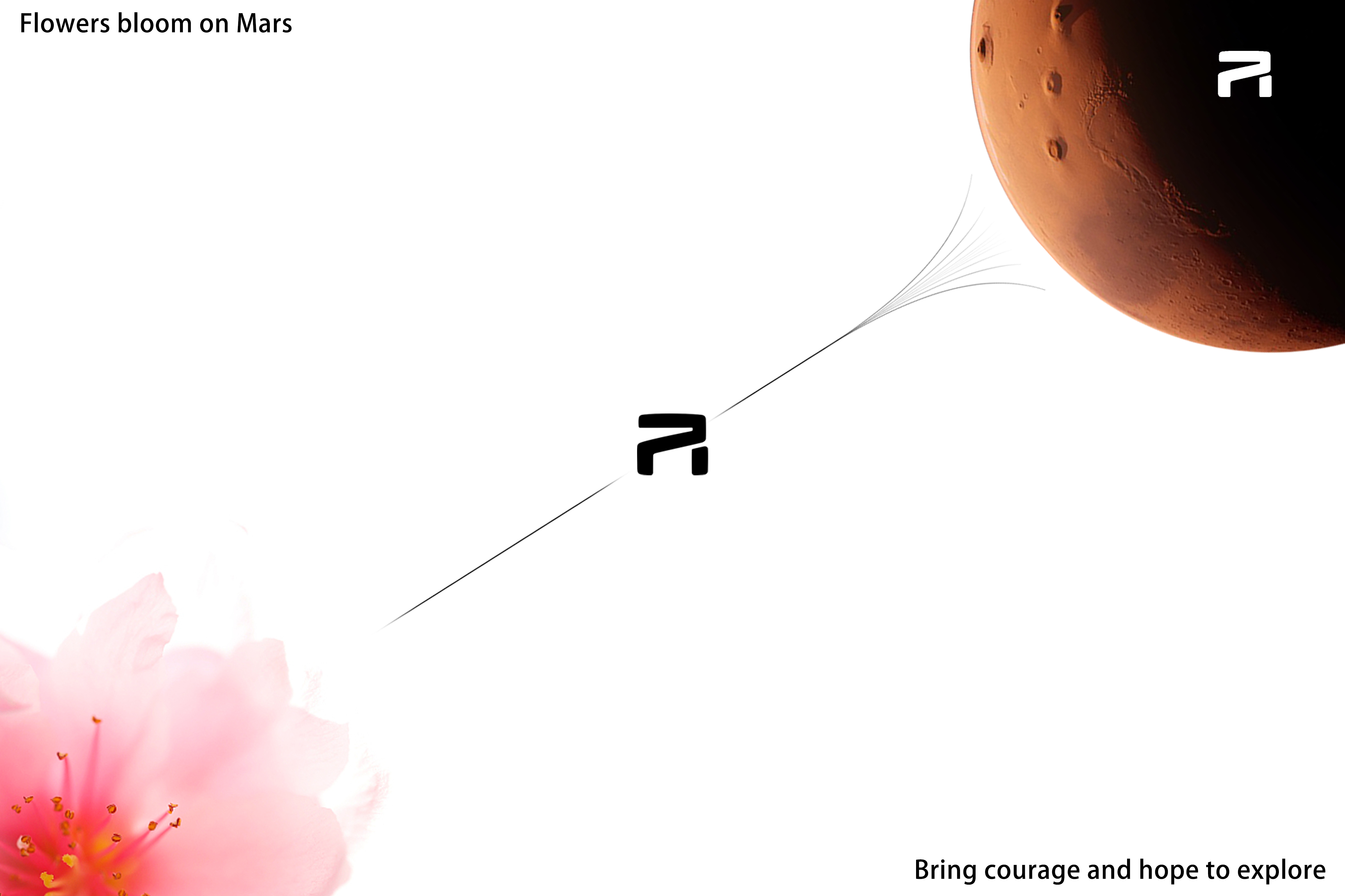 The 9th SAIC international challenge，Overseas Chinese University，Flower of Mars，