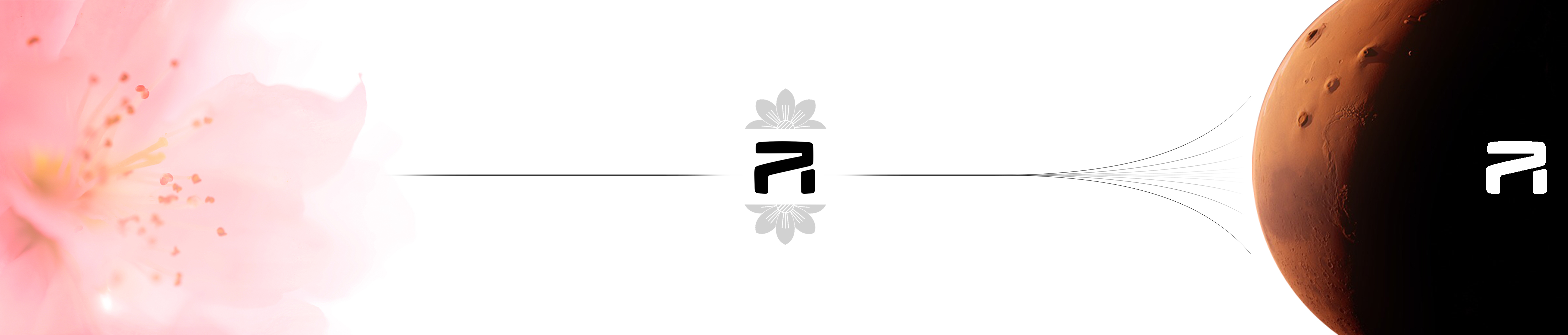 The 9th SAIC international challenge，Overseas Chinese University，Flower of Mars，