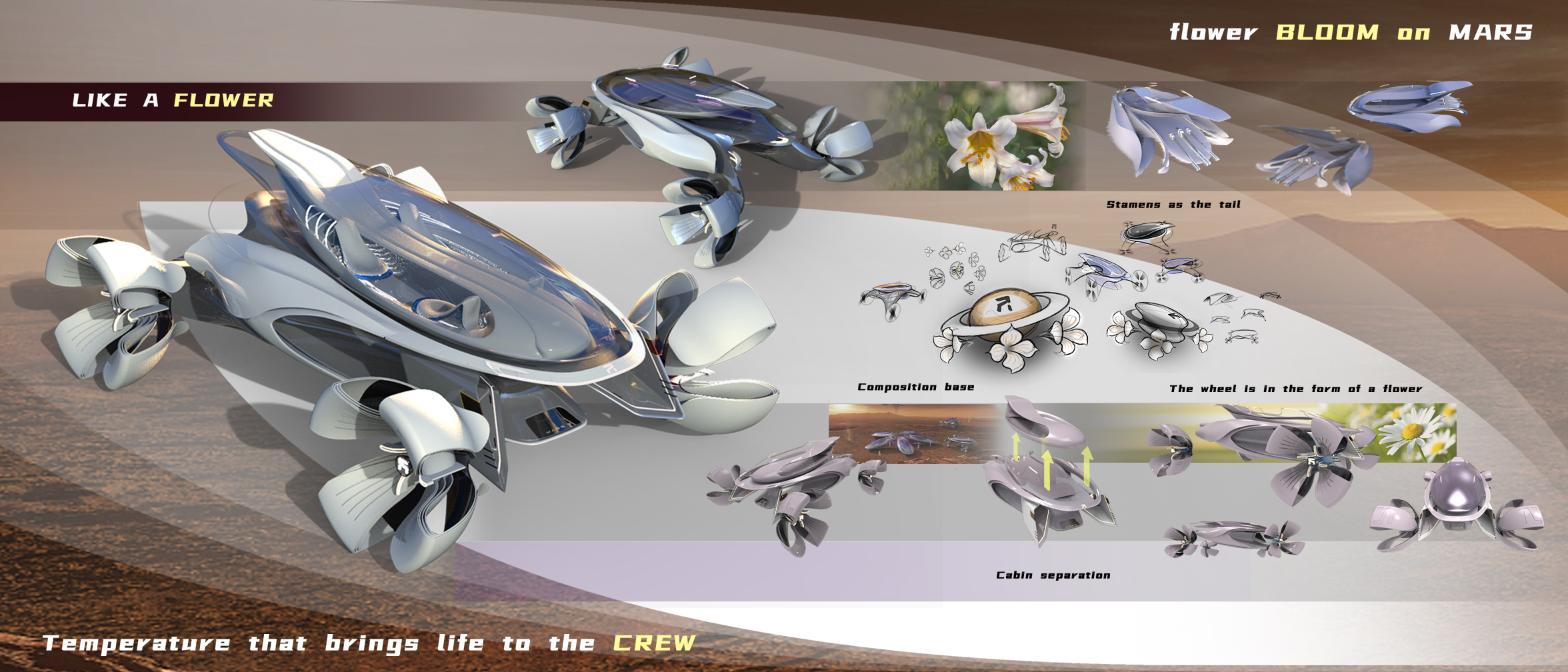 The 9th SAIC international challenge，Overseas Chinese University，Flower of Mars，