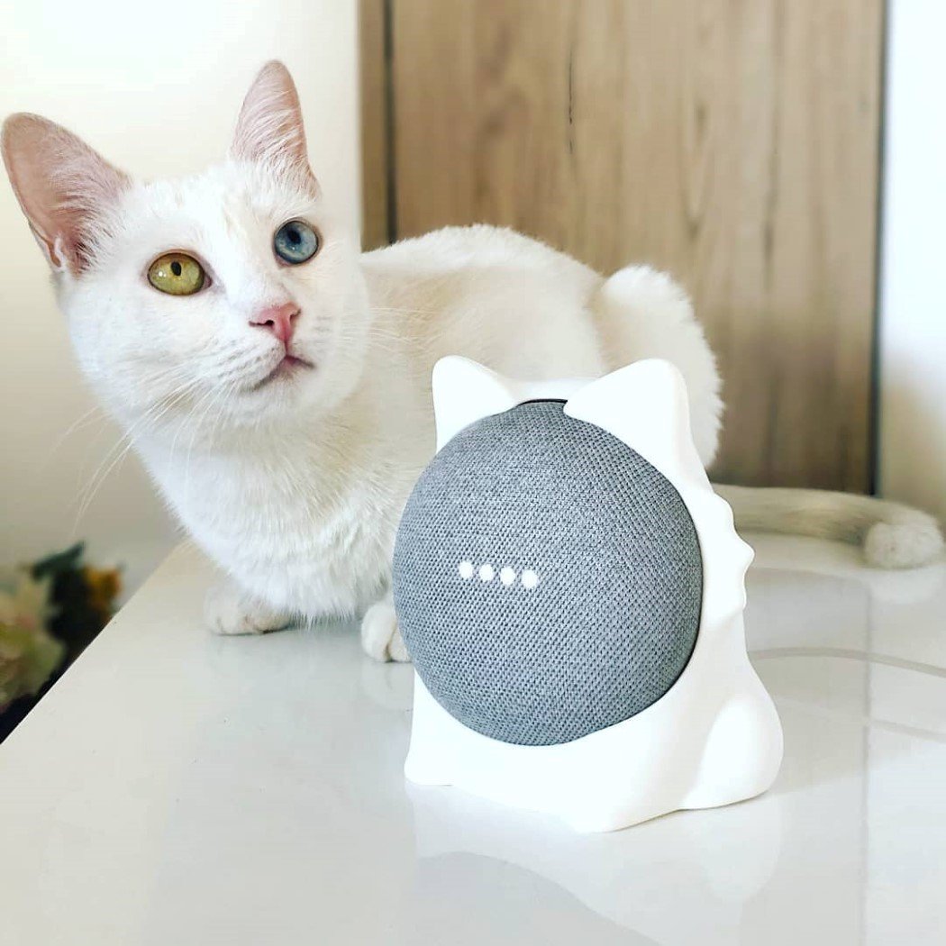 ODD-ON Industries，Google Nest Mini，Desktop cat，Response command，product design，