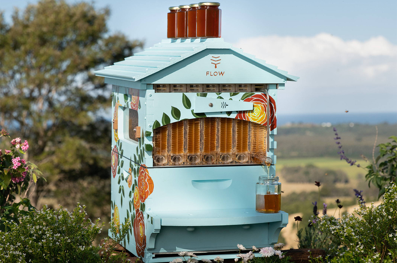 hive，Flow Hive，originality，Novel beehive，