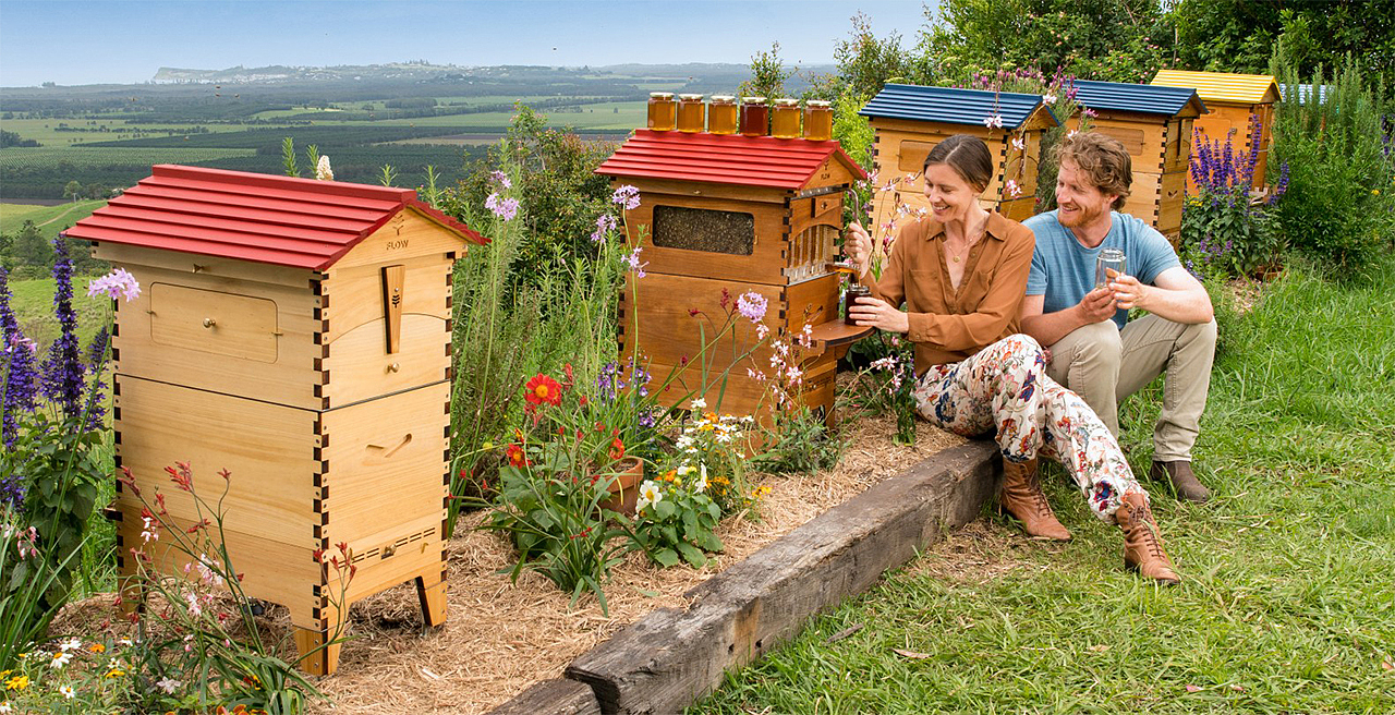 hive，Flow Hive，originality，Novel beehive，