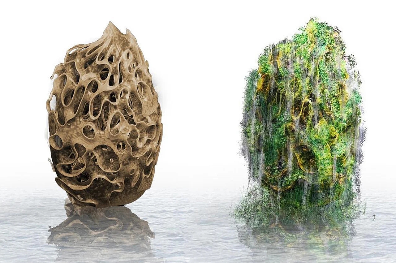 Mycelium，Urban coral reef，3D printing，Natural materials，
