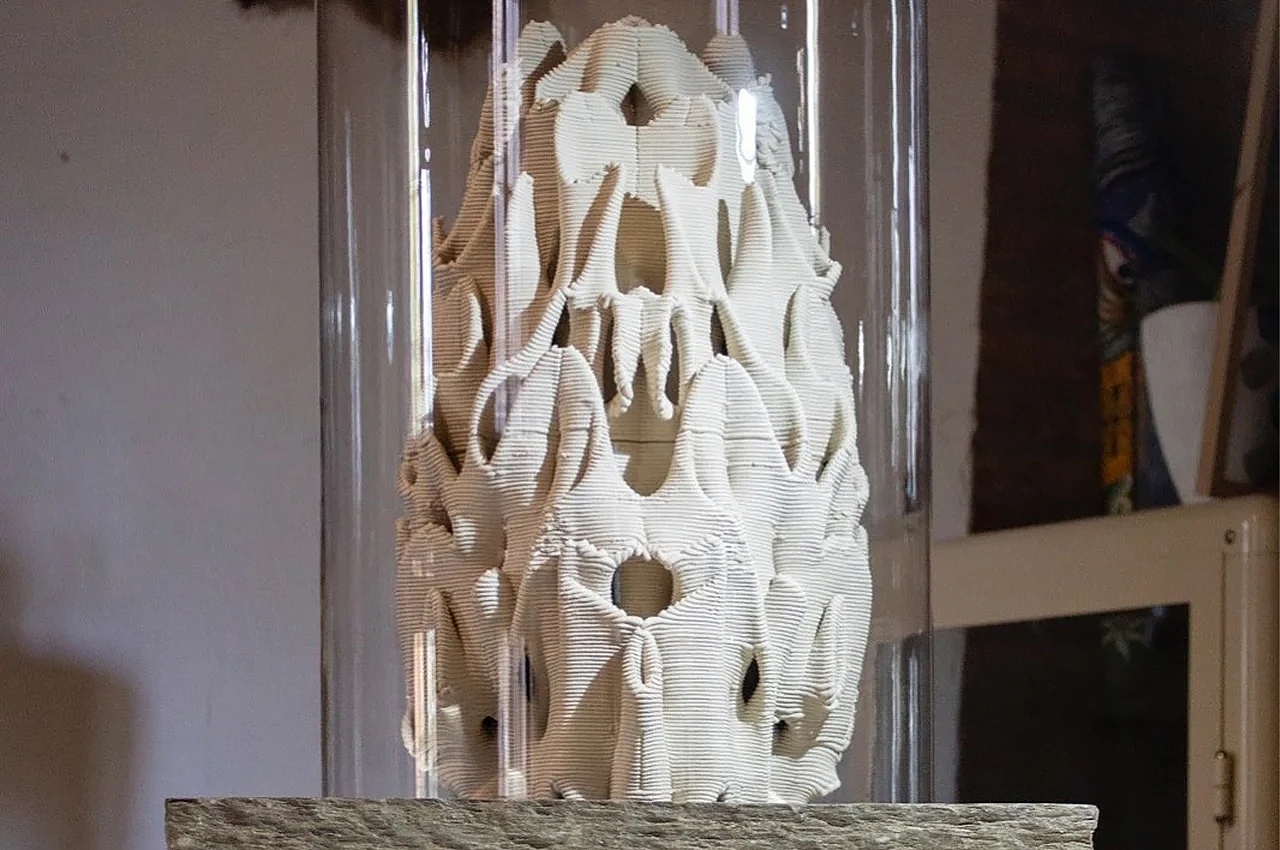 Mycelium，Urban coral reef，3D printing，Natural materials，