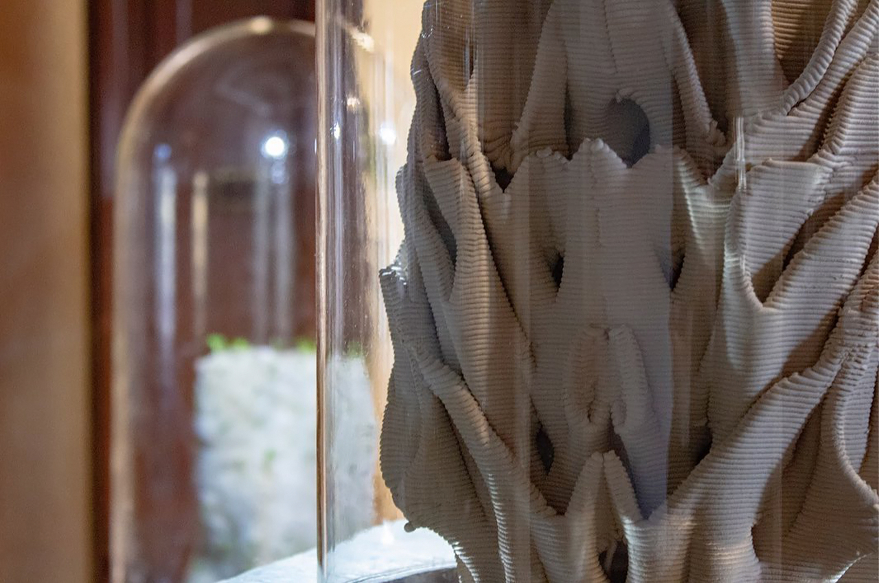 Mycelium，Urban coral reef，3D printing，Natural materials，