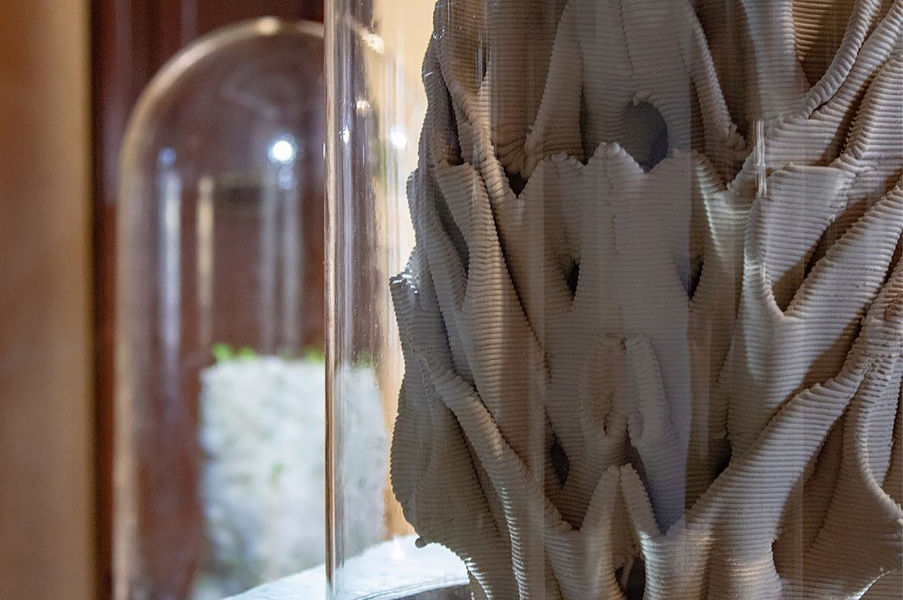 Mycelium，Urban coral reef，3D printing，Natural materials，