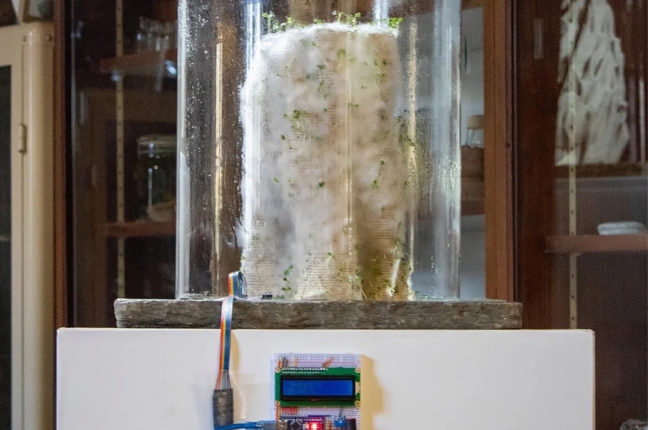Mycelium，城市珊瑚礁，3d打印，自然材料，