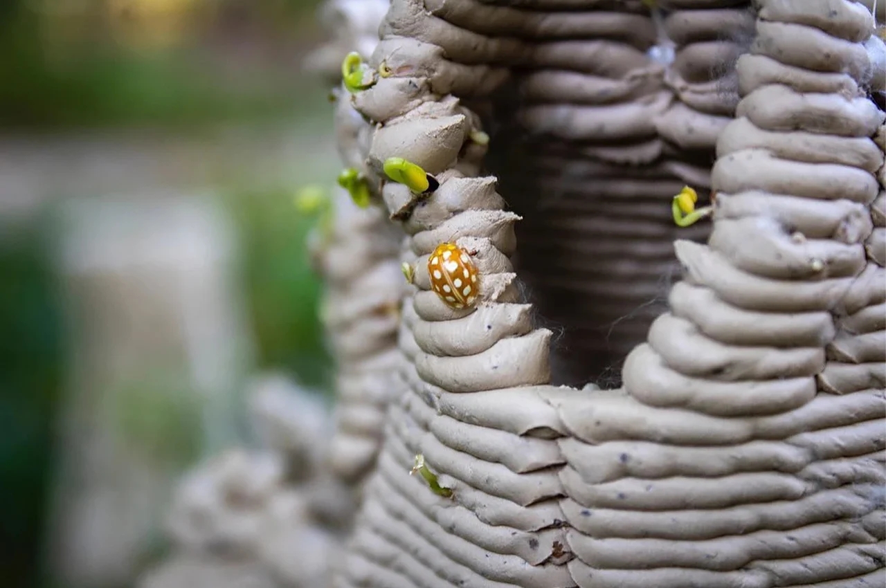 Mycelium，Urban coral reef，3D printing，Natural materials，