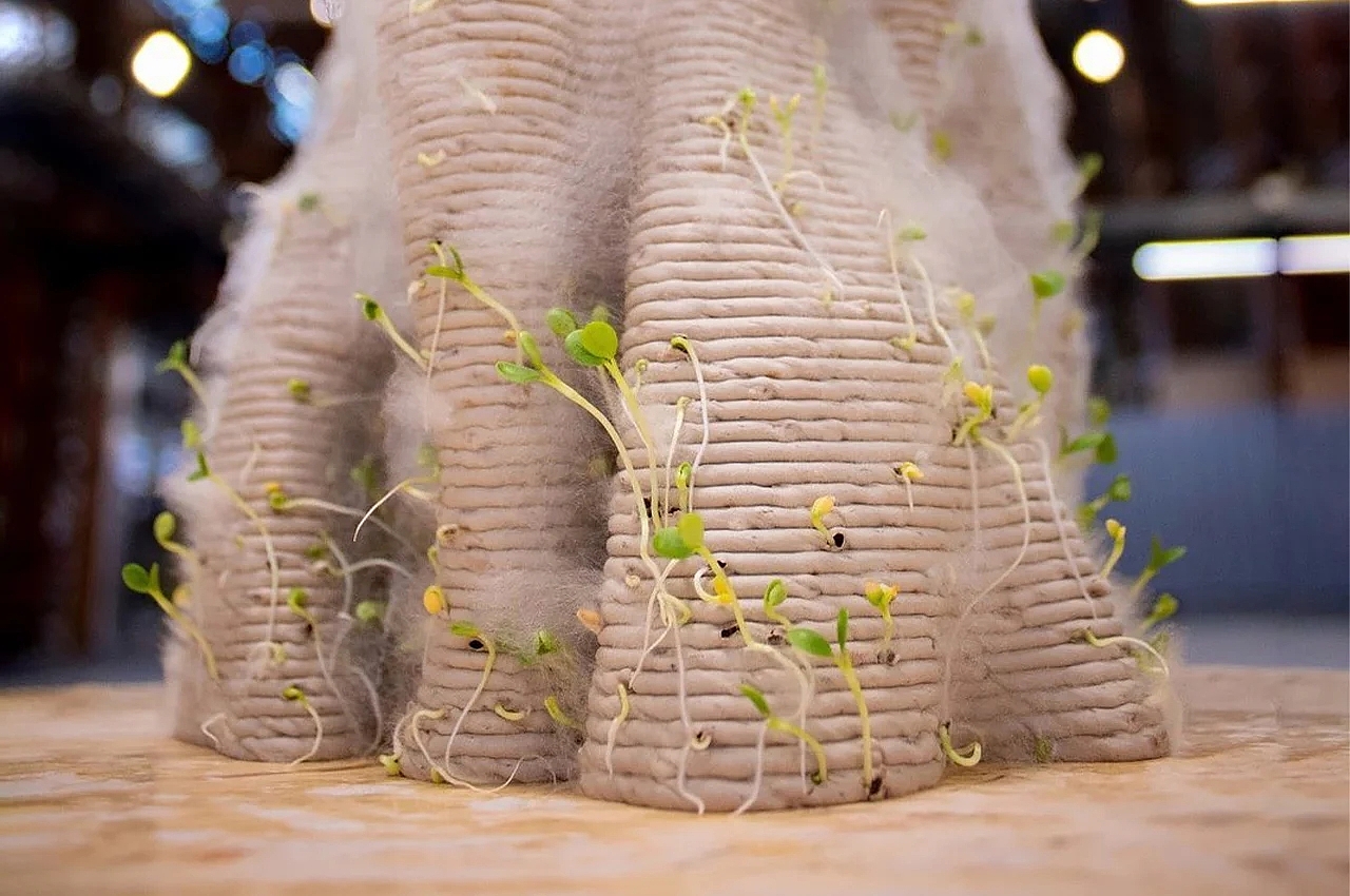 Mycelium，Urban coral reef，3D printing，Natural materials，