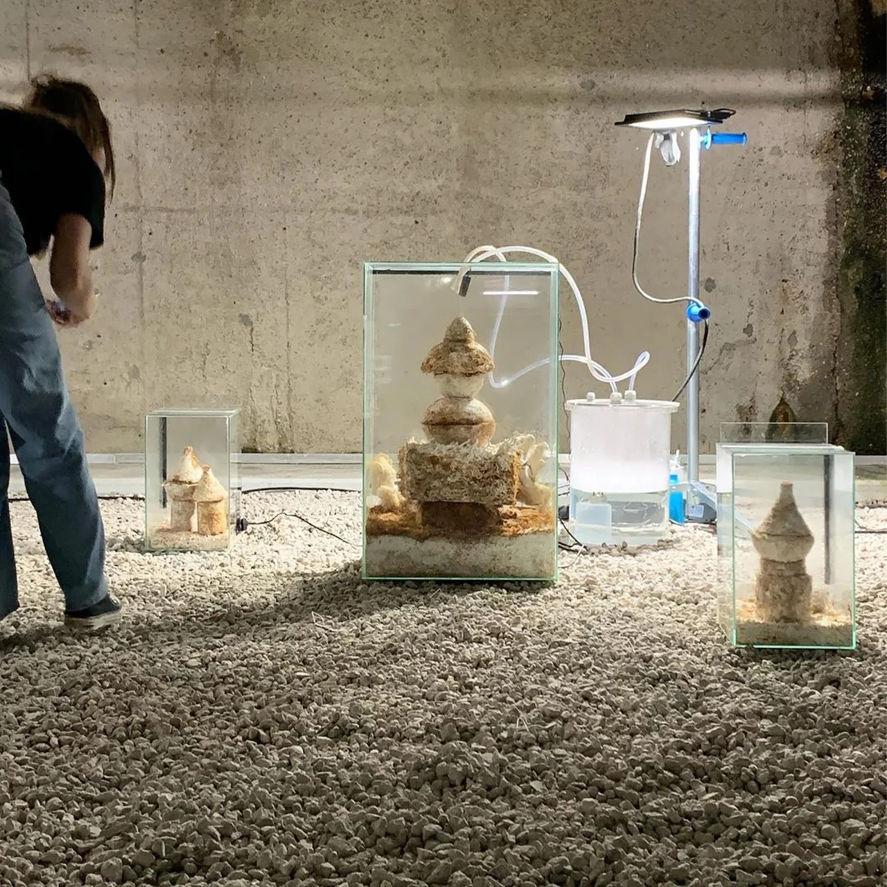 Mycelium，Urban coral reef，3D printing，Natural materials，