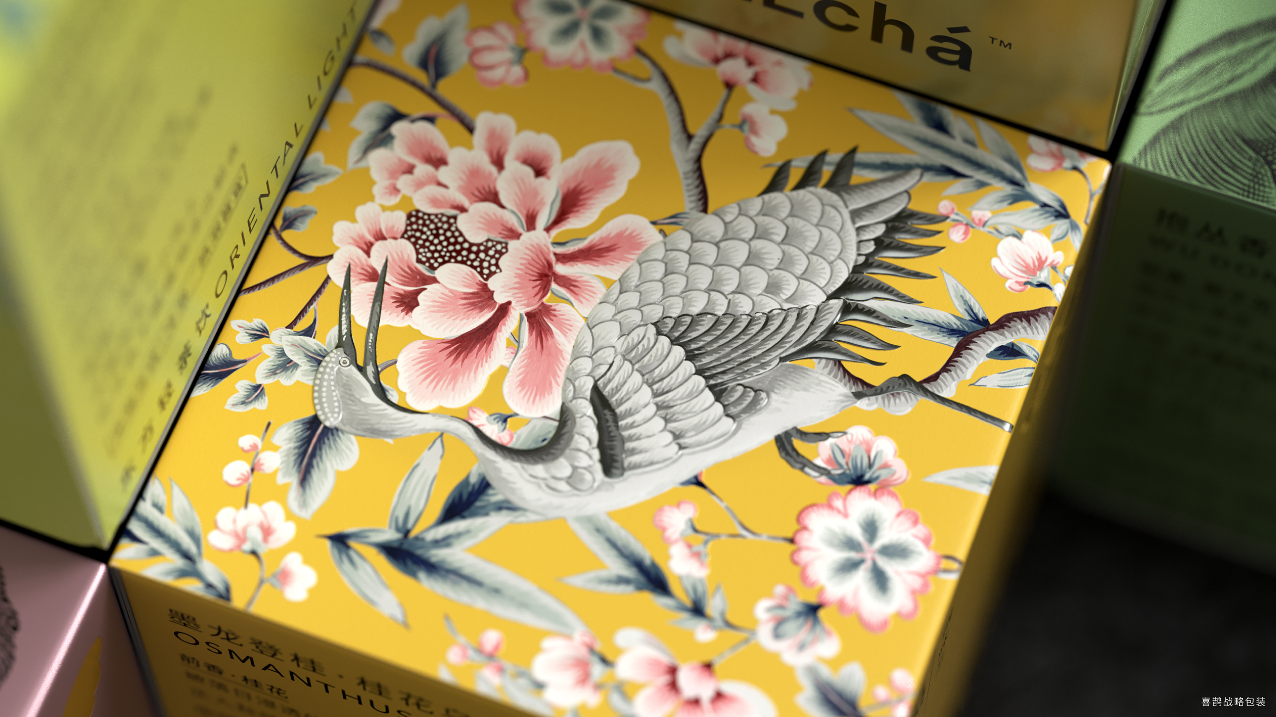 Graphic Artist Designer，packing design，