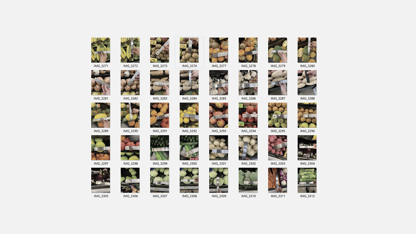 Food monitoring，convenient，sustainable，concept，