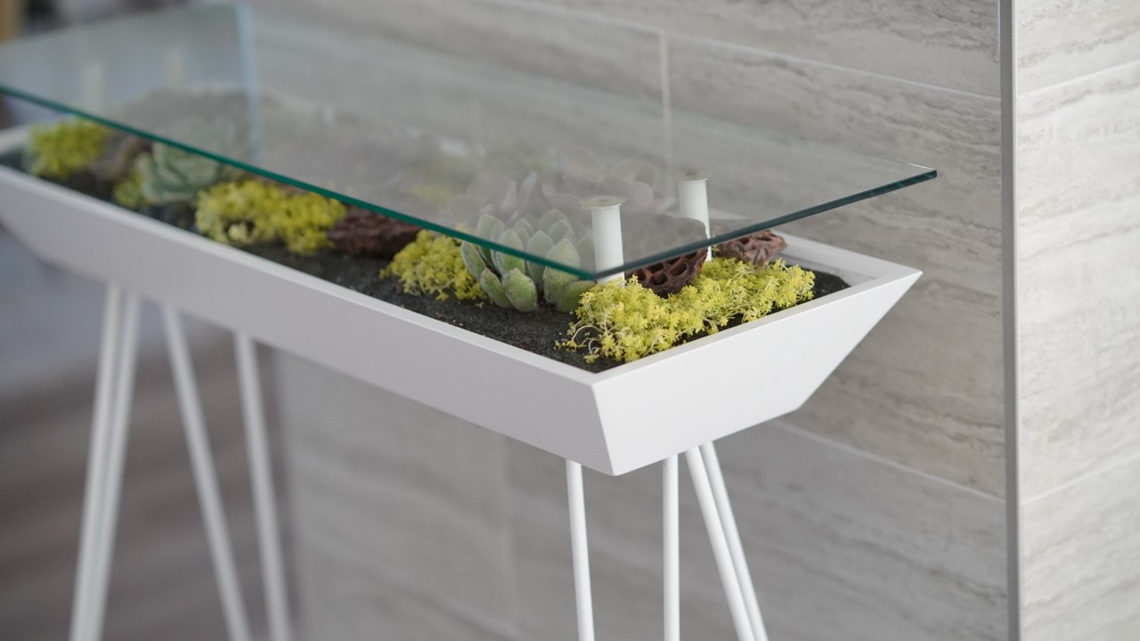 Indoor gardening，gardening，Plant container，Flowerpot，