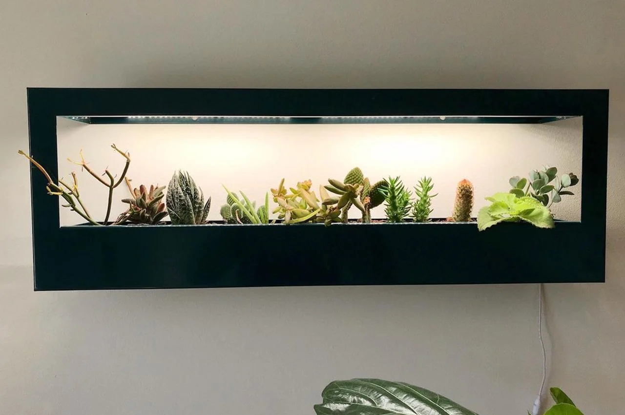 Indoor gardening，gardening，Plant container，Flowerpot，