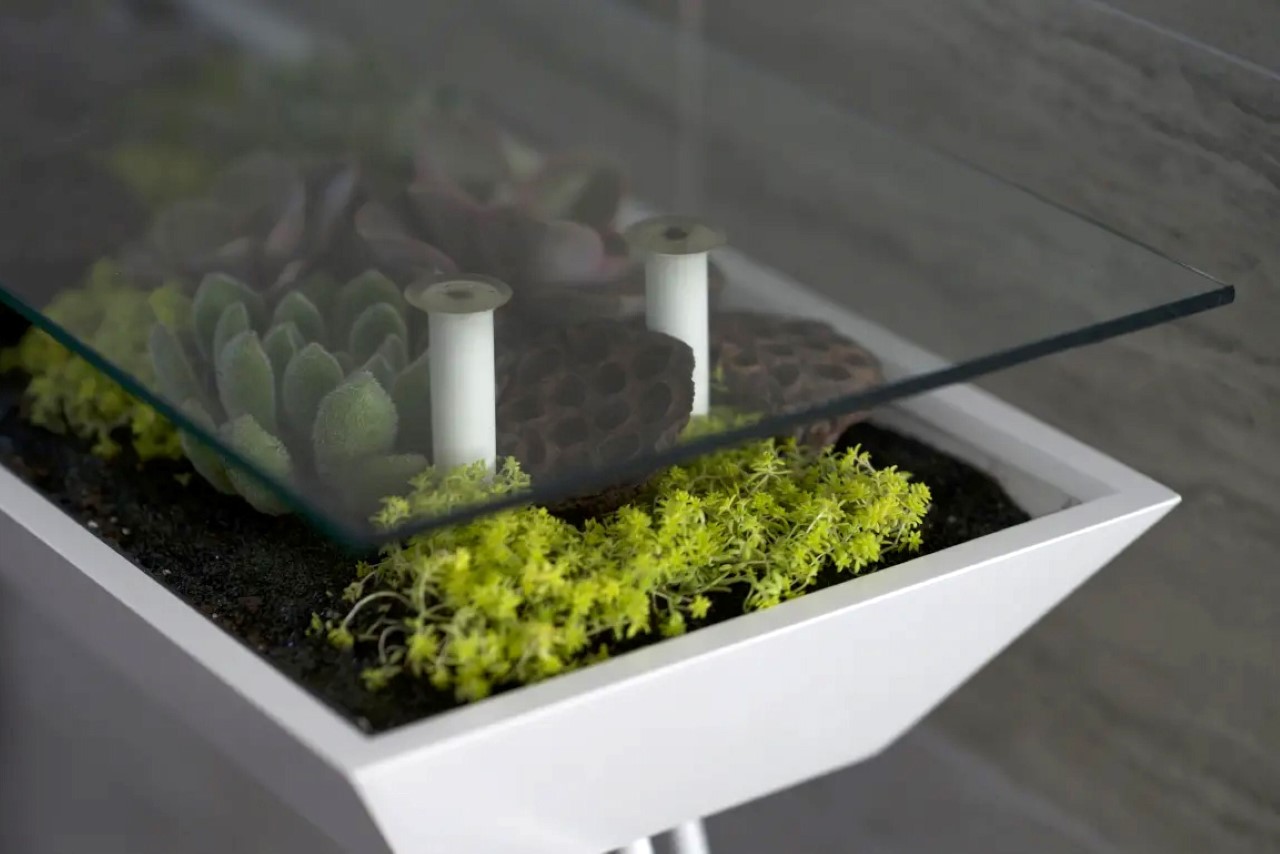 Indoor gardening，gardening，Plant container，Flowerpot，