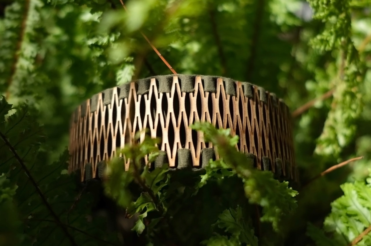 Indoor gardening，gardening，Plant container，Flowerpot，