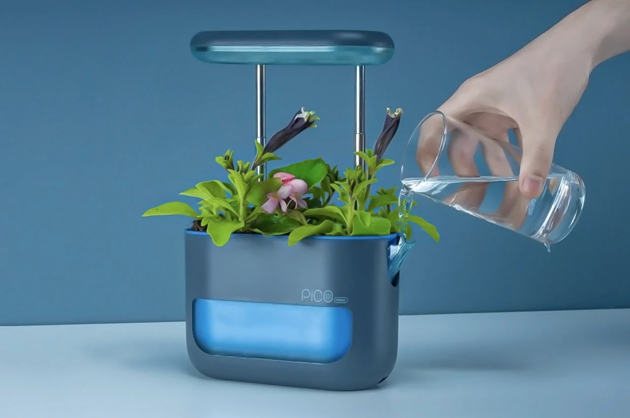 Indoor gardening，gardening，Plant container，Flowerpot，