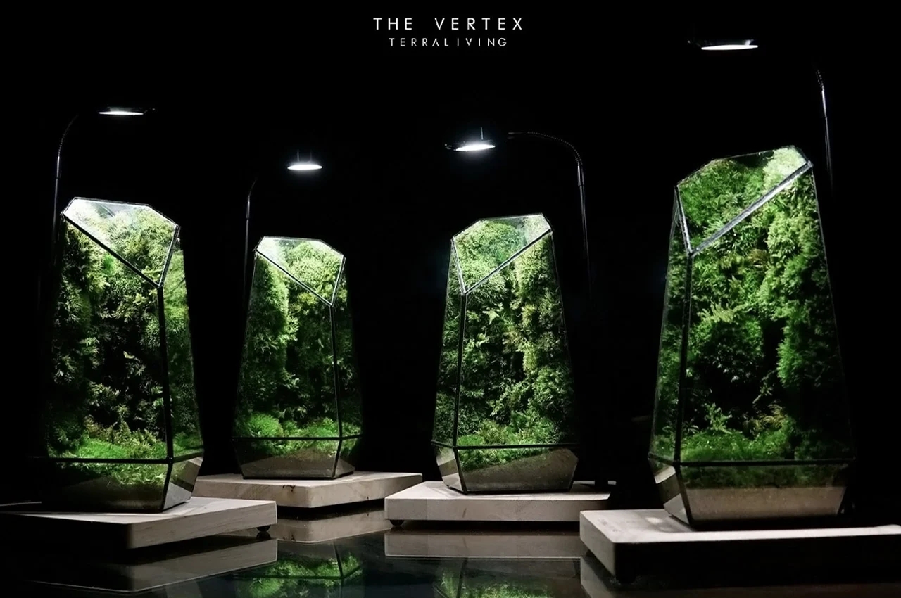 Indoor gardening，gardening，Plant container，Flowerpot，