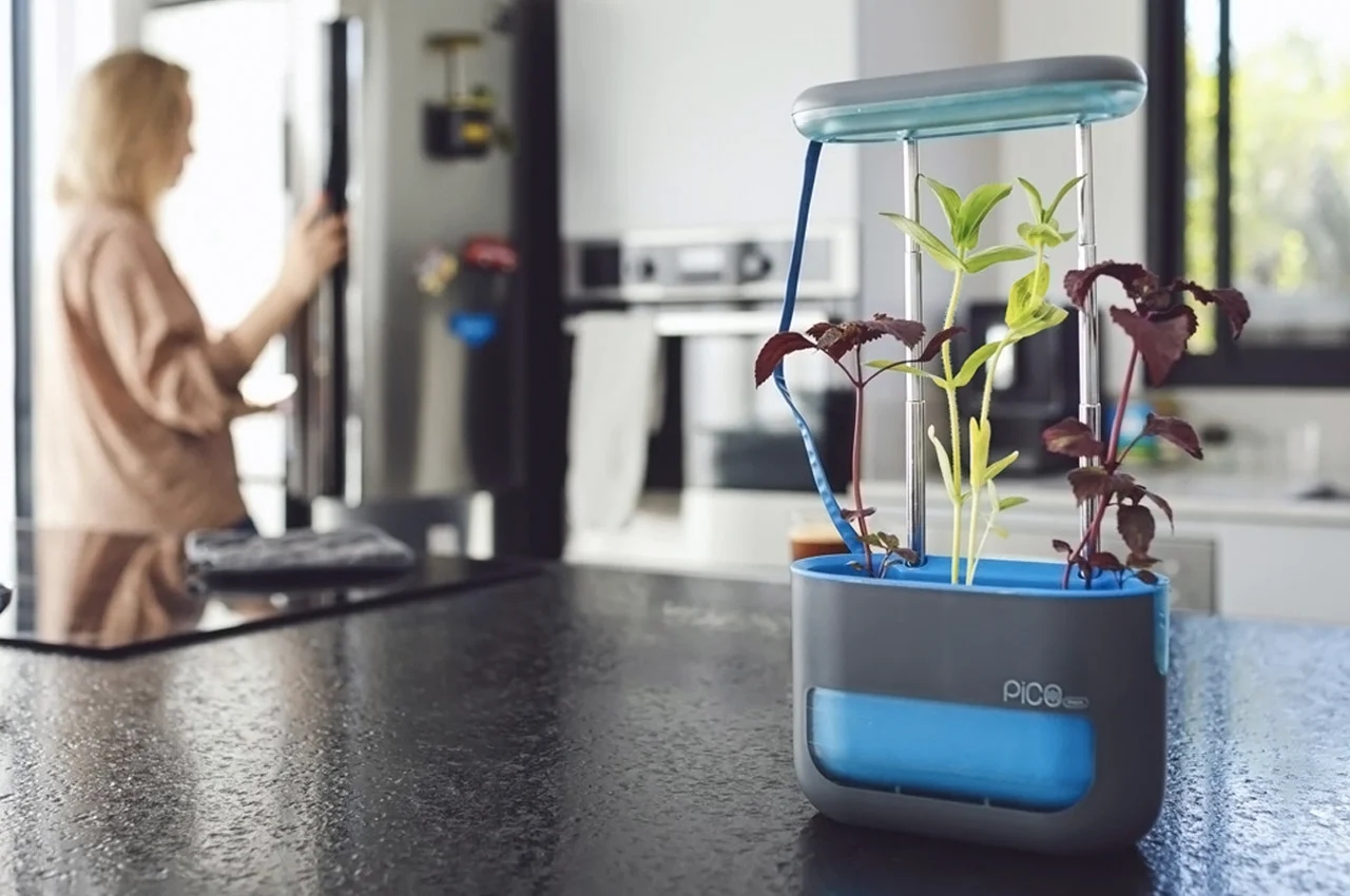 Indoor gardening，gardening，Plant container，Flowerpot，