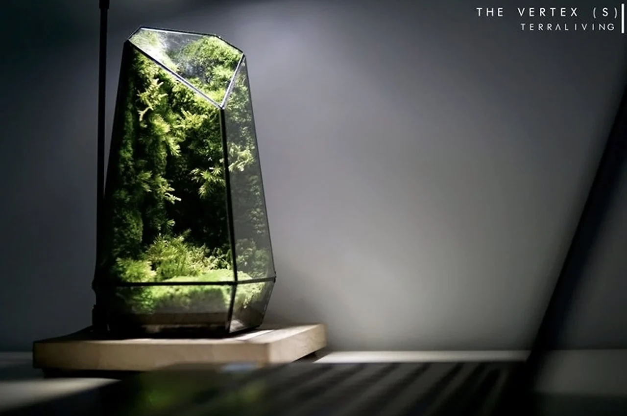 Indoor gardening，gardening，Plant container，Flowerpot，