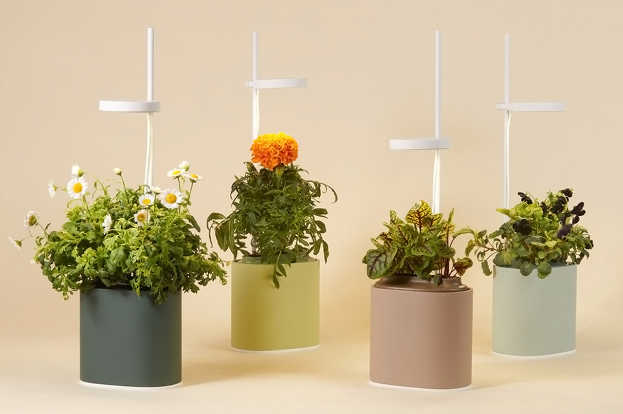 Indoor gardening，gardening，Plant container，Flowerpot，