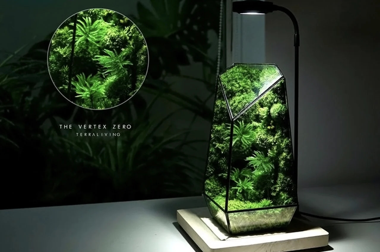 Indoor gardening，gardening，Plant container，Flowerpot，