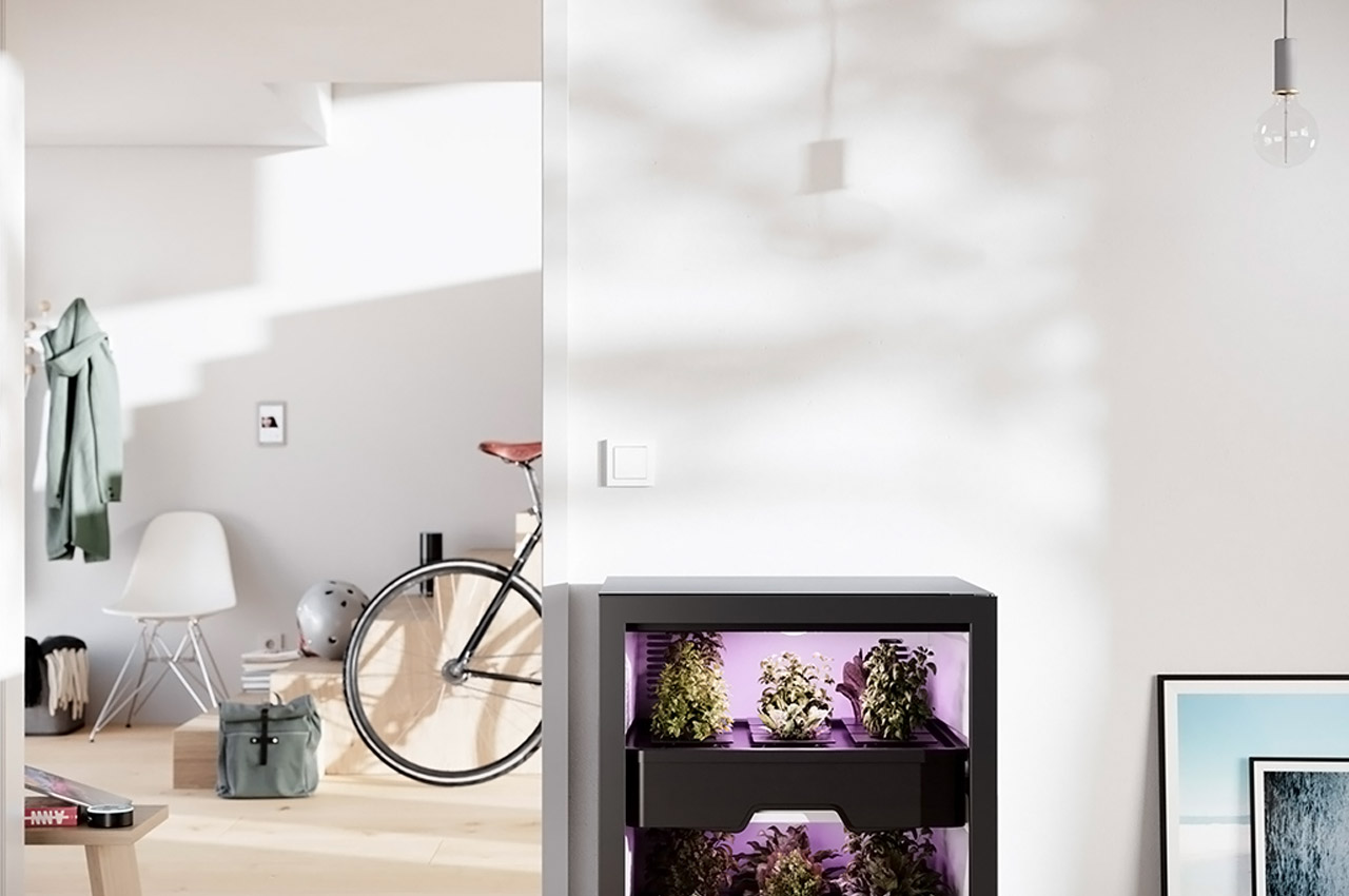 Indoor gardening，gardening，Plant container，Flowerpot，