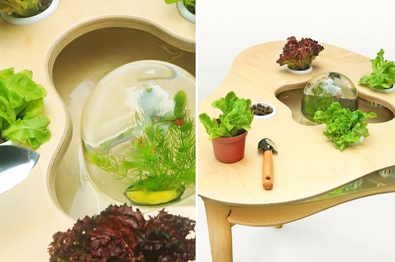 Indoor gardening，gardening，Plant container，Flowerpot，