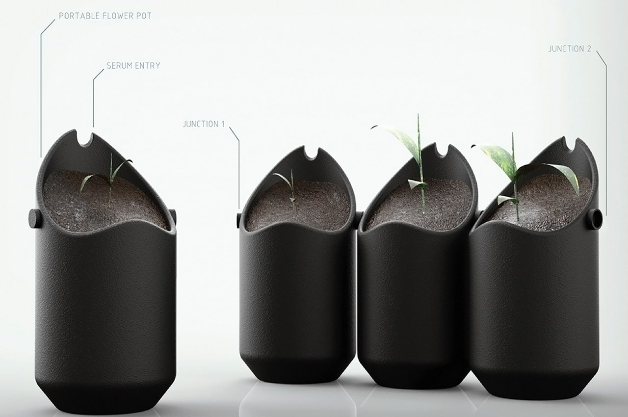 Indoor gardening，gardening，Plant container，Flowerpot，