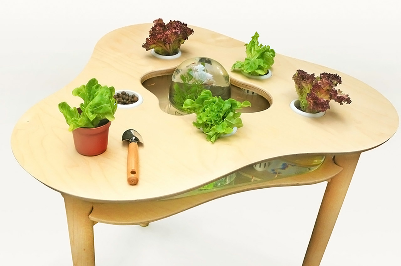 Indoor gardening，gardening，Plant container，Flowerpot，