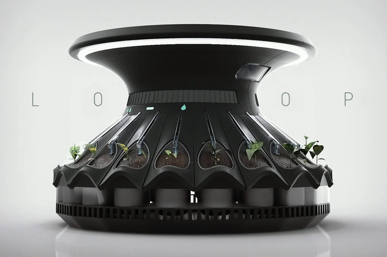 Indoor gardening，gardening，Plant container，Flowerpot，