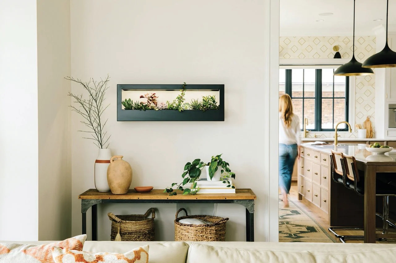 Indoor gardening，gardening，Plant container，Flowerpot，