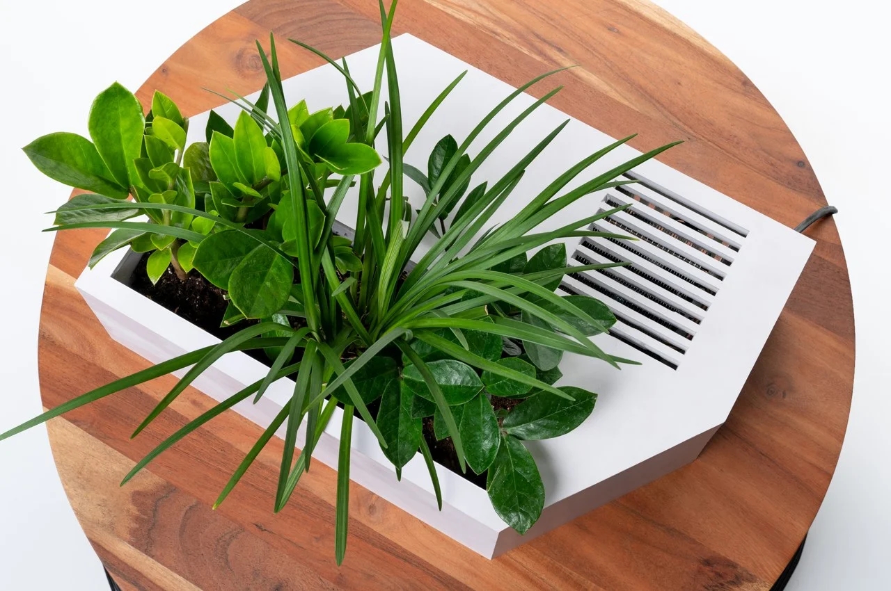 Indoor gardening，gardening，Plant container，Flowerpot，