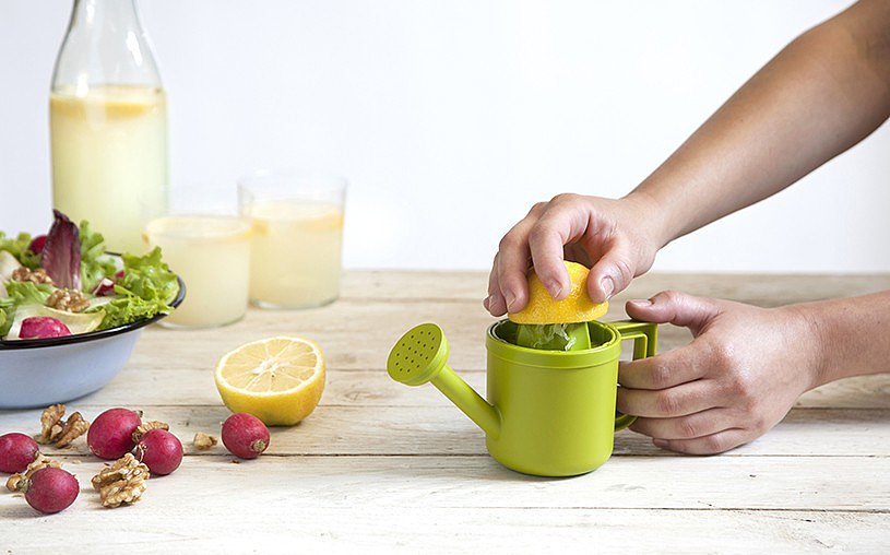 Lemon Juicer，Small，kitchenware，salad，black，green，delicious food，