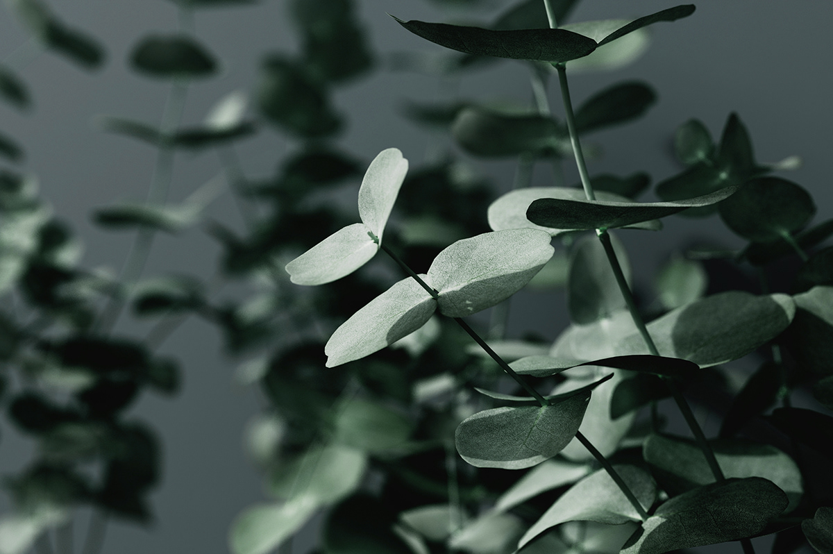 Sebastian Halin，Havoc arxc glasses，product design，Streamlined design，customized，Fashion neutral，