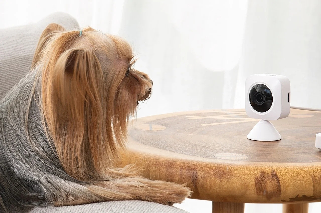 camera，night vision，Human body detection，