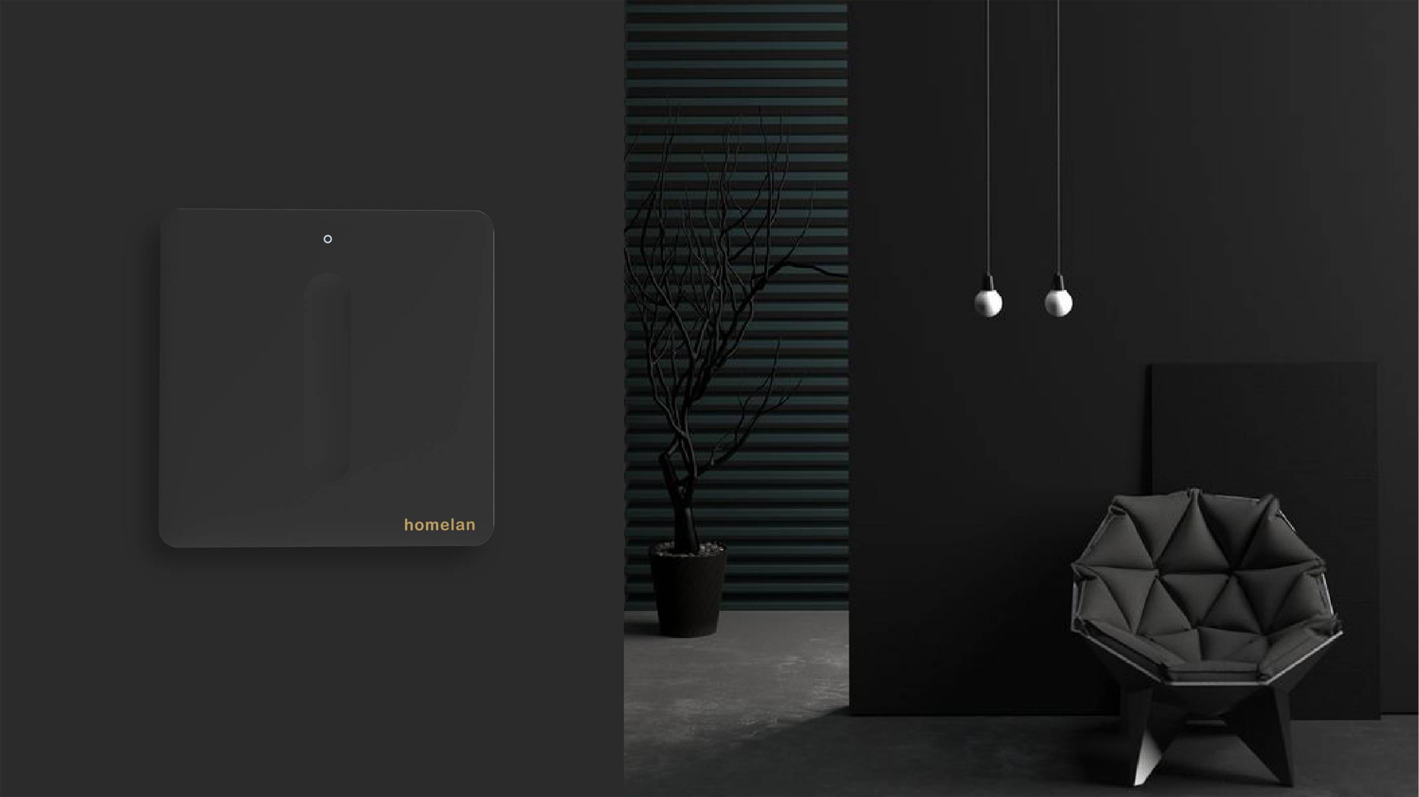 Honghelang，Homeland，switch，