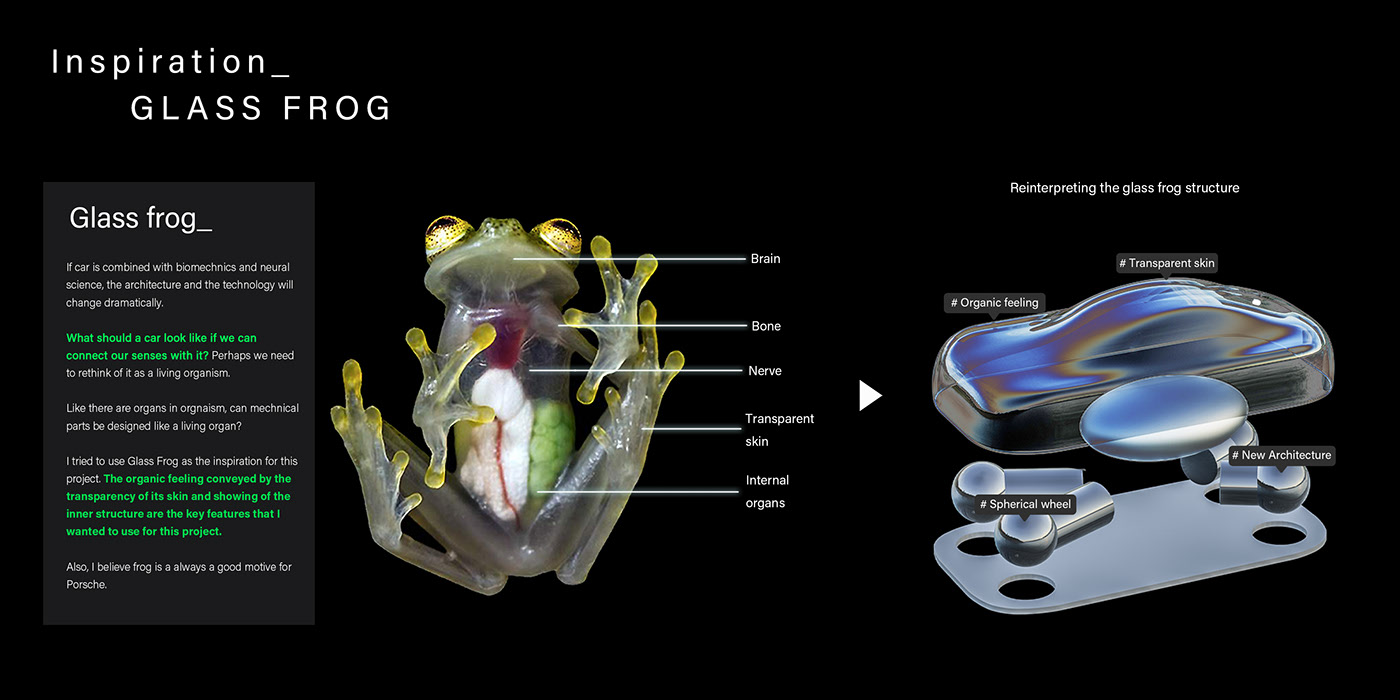 porsche，Sports car，Neuro，racing，