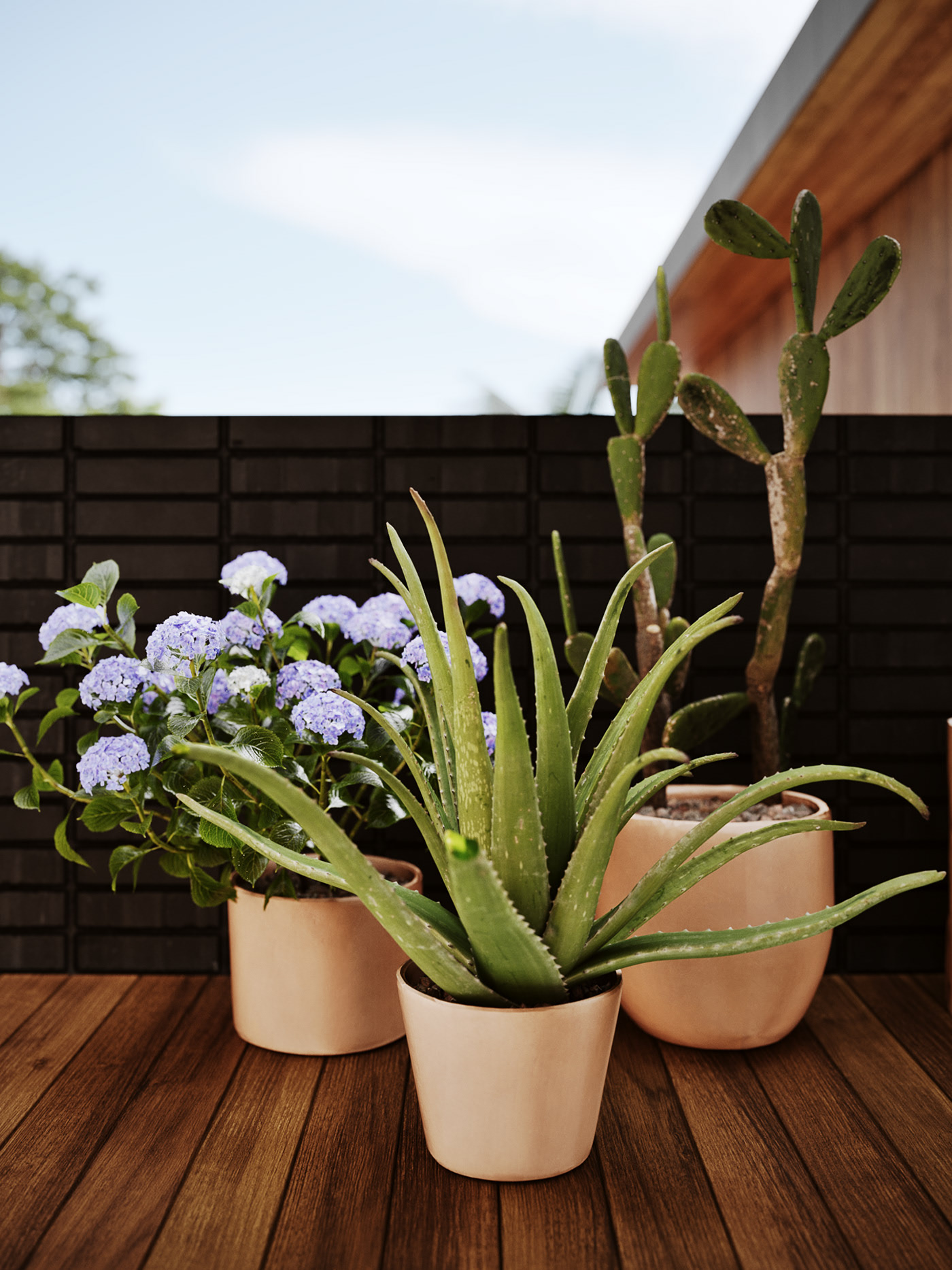 Visualization，Studio，house，