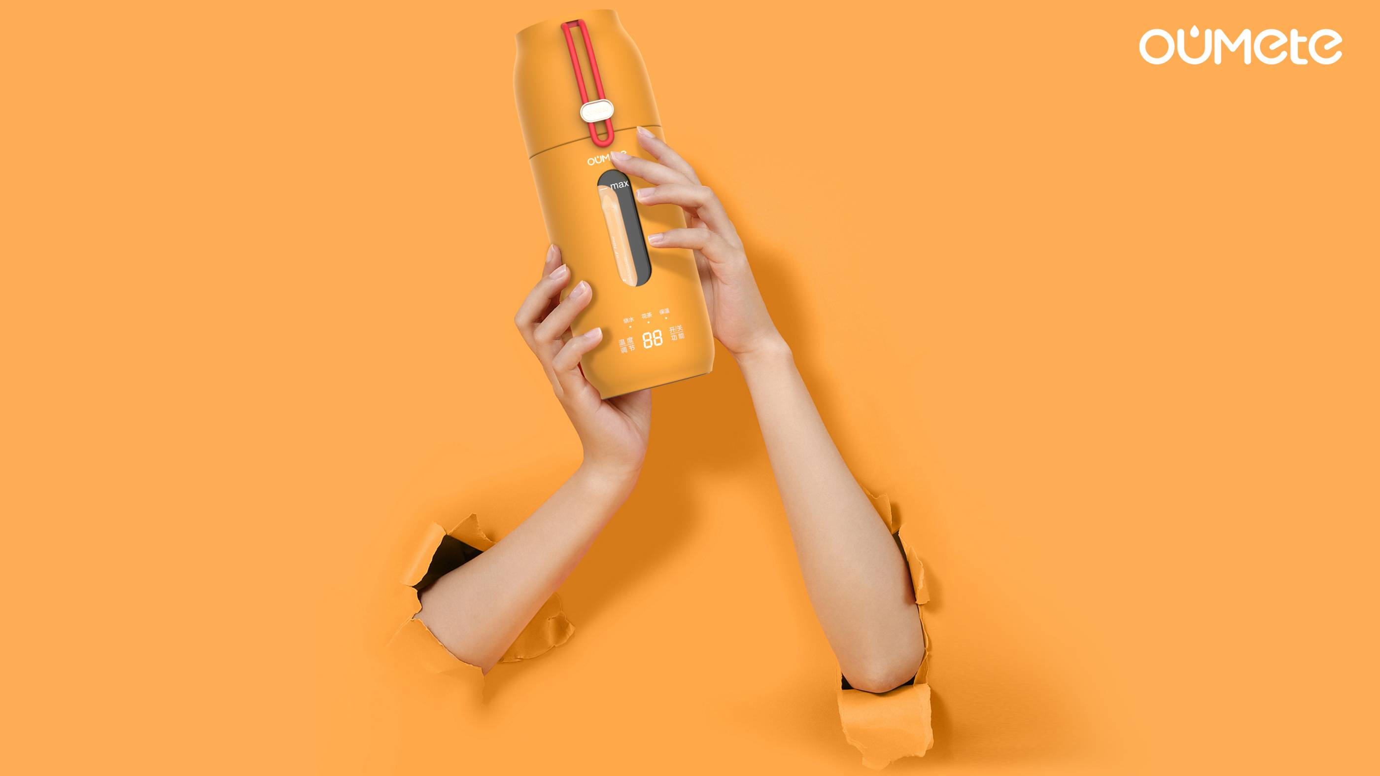 Water cup，Euramerican special，