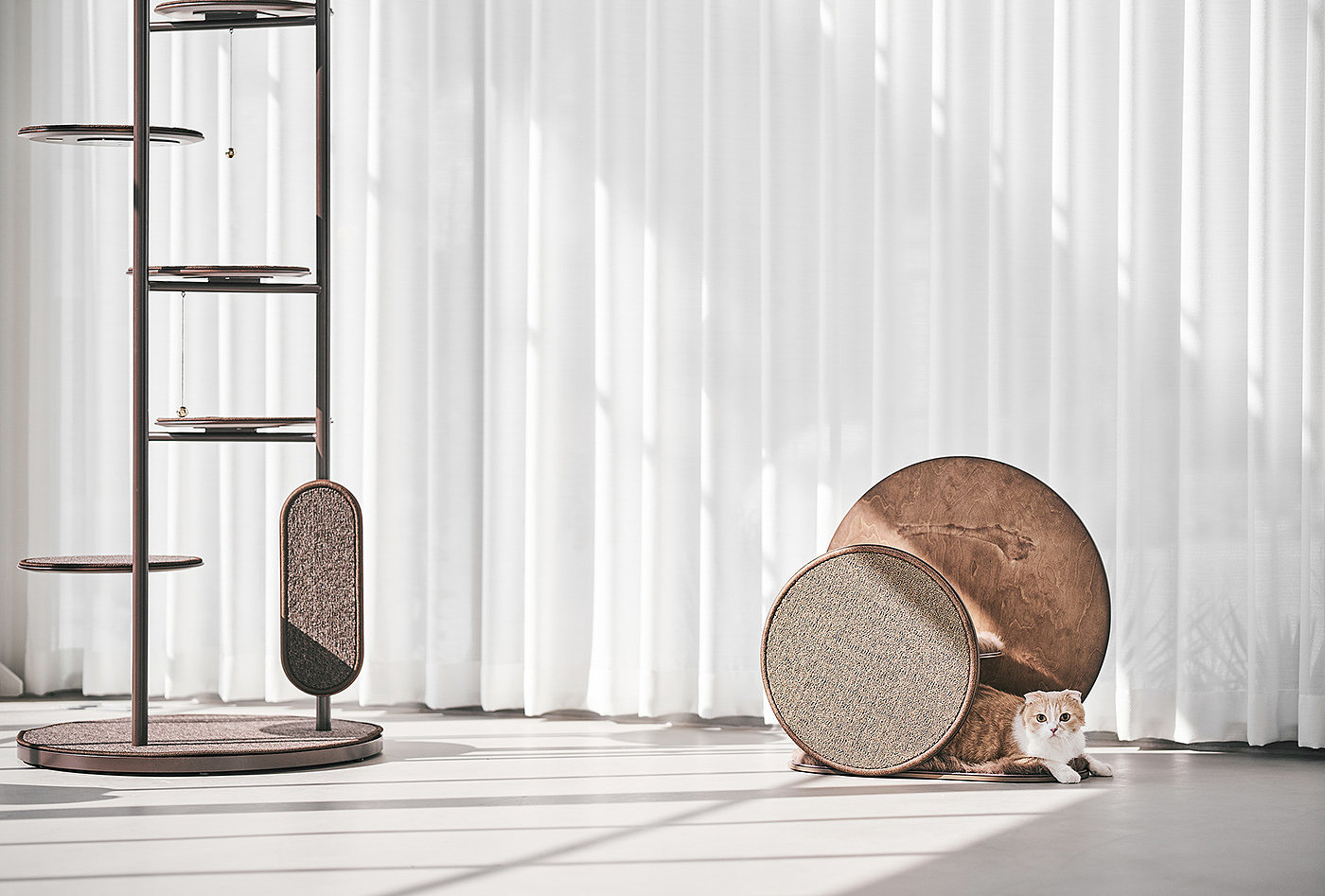 Cat scratch plate，Pets，birch，