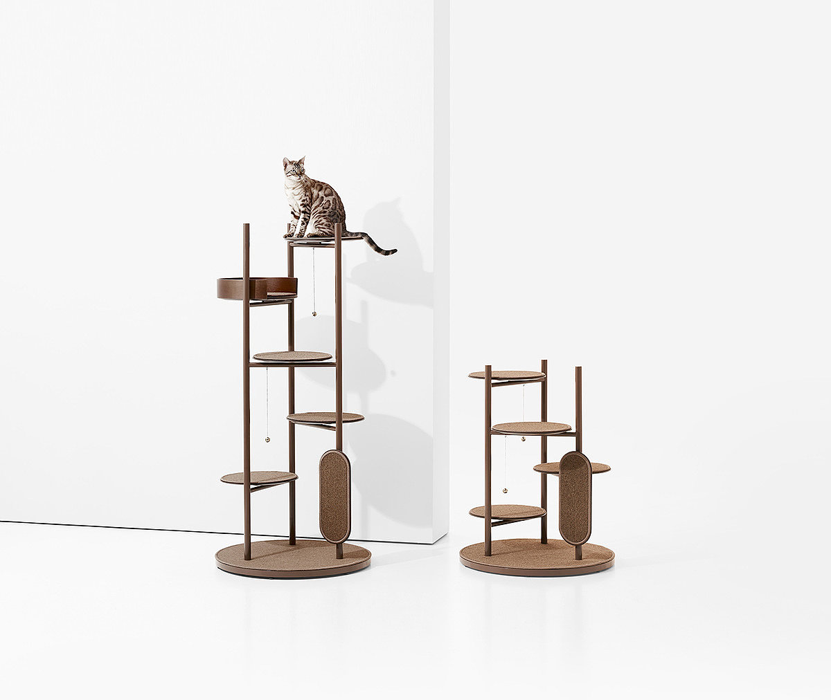 Cat tower，Short legged cat，product design，