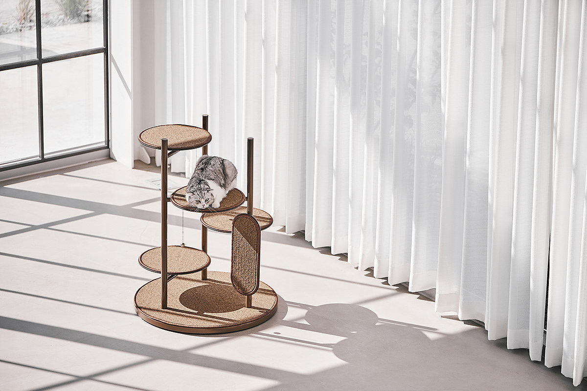 Cat tower，Short legged cat，product design，