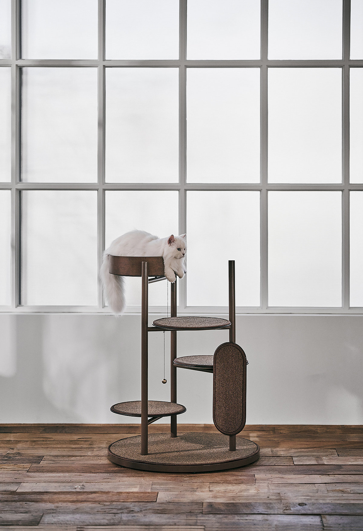 Cat tower，Short legged cat，product design，