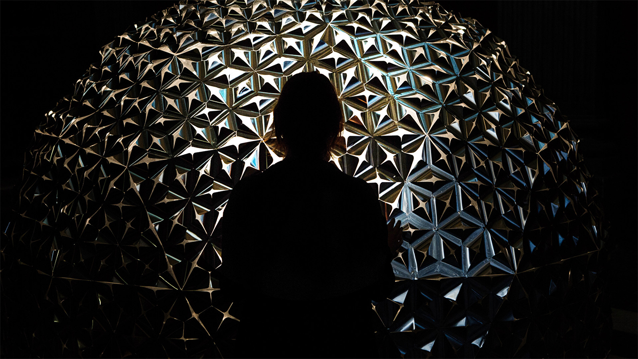 Lotus，lighting，Artwork，