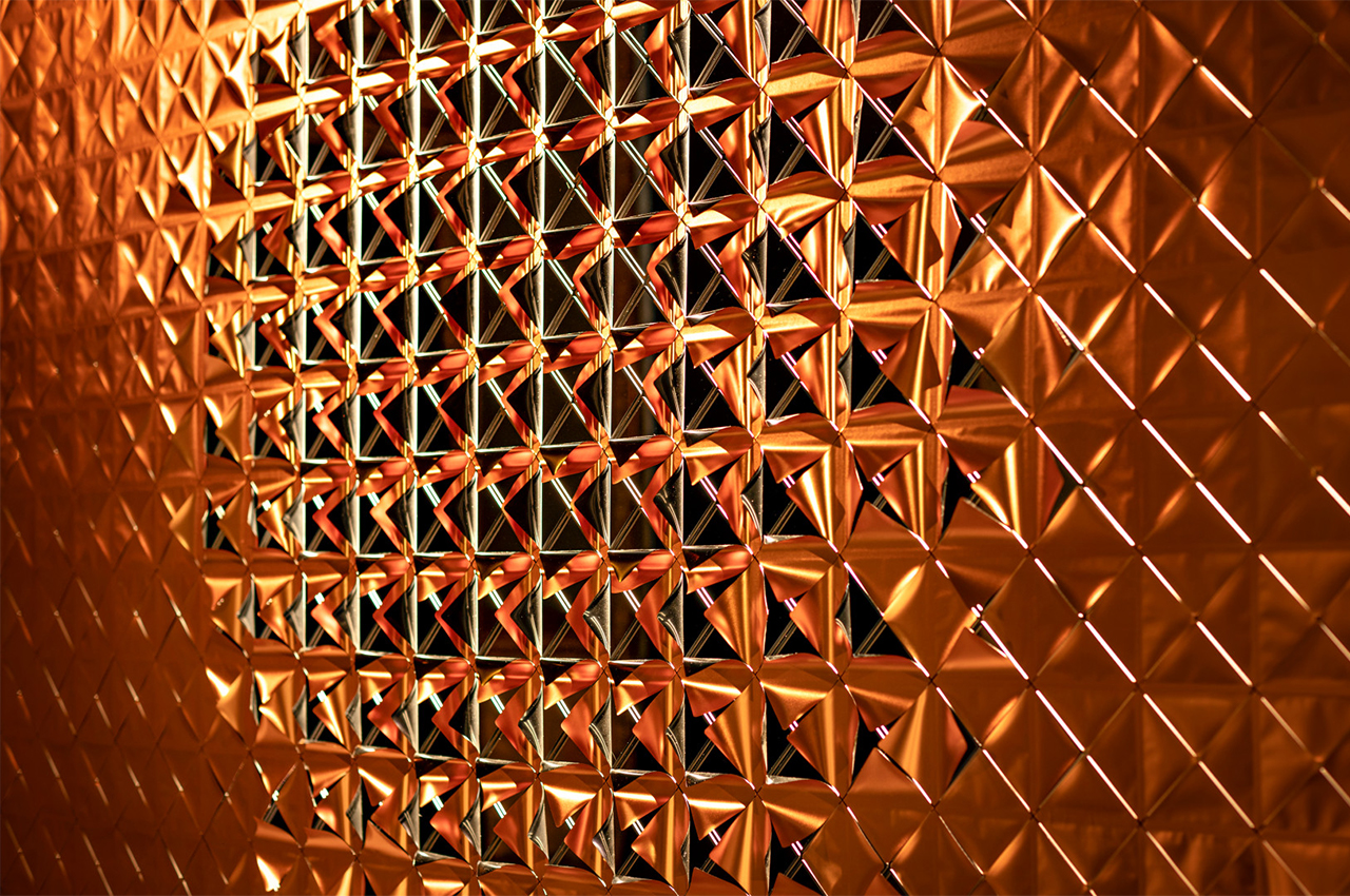 Lotus，lighting，Artwork，