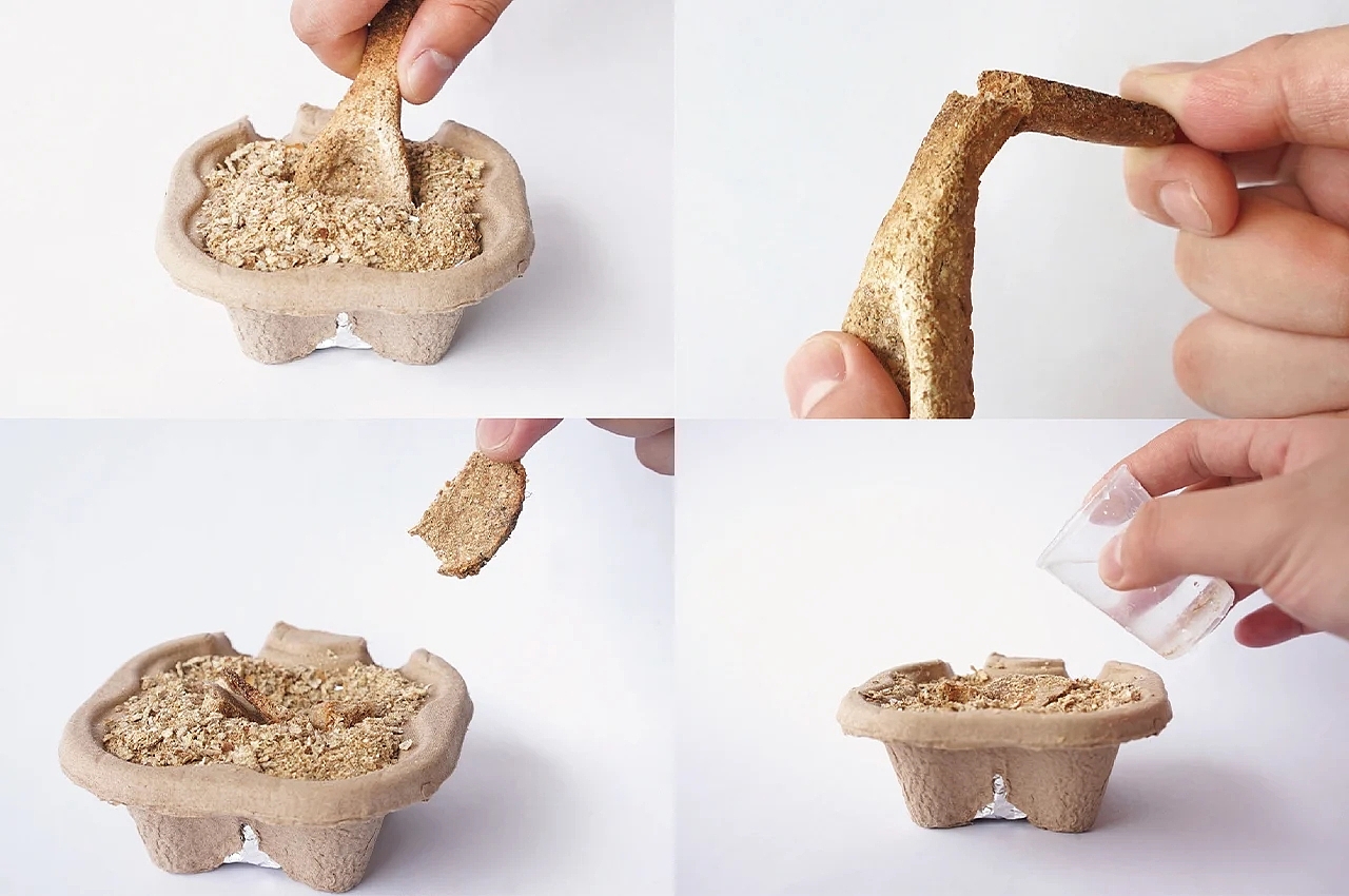 Peanut shell，compostable ，Spoon，Environmental protection materials，Sustainable design，