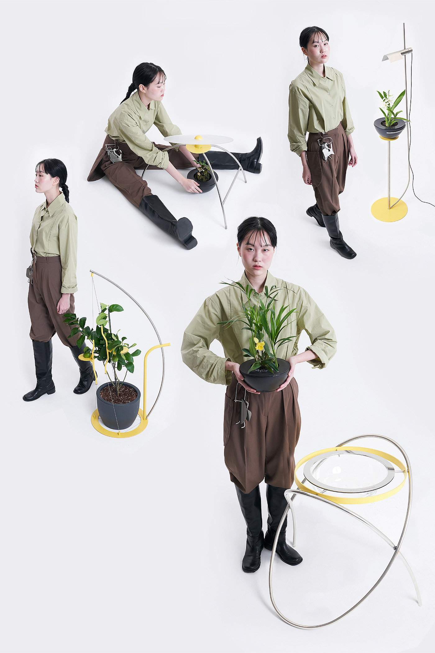 button，Botany，