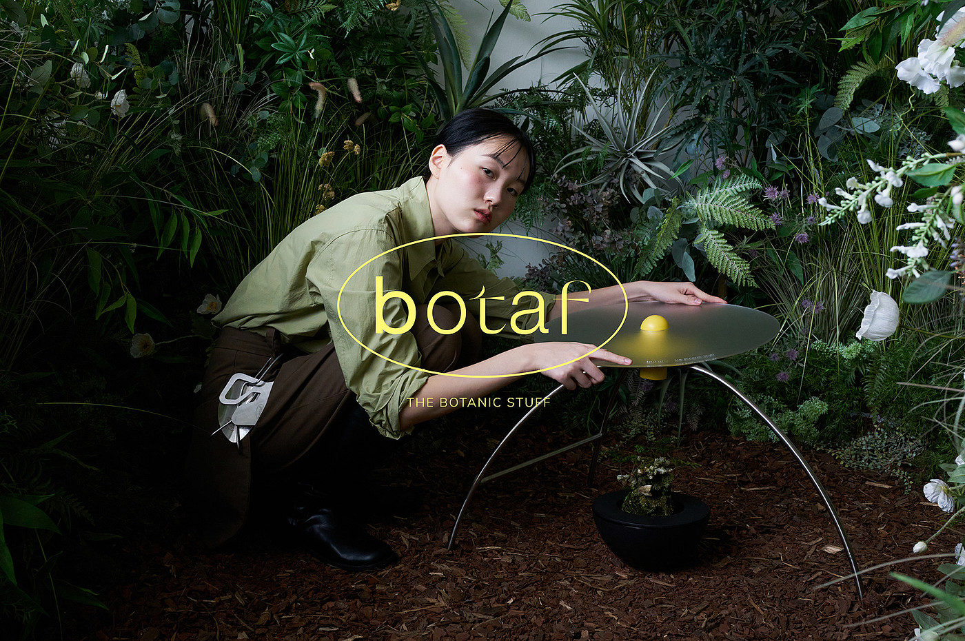 botaf，植物，